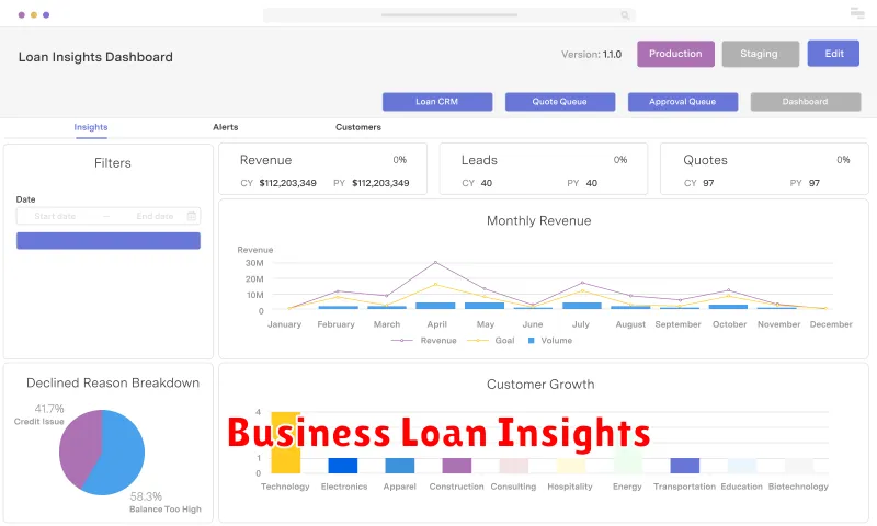 Business Loan Insights
